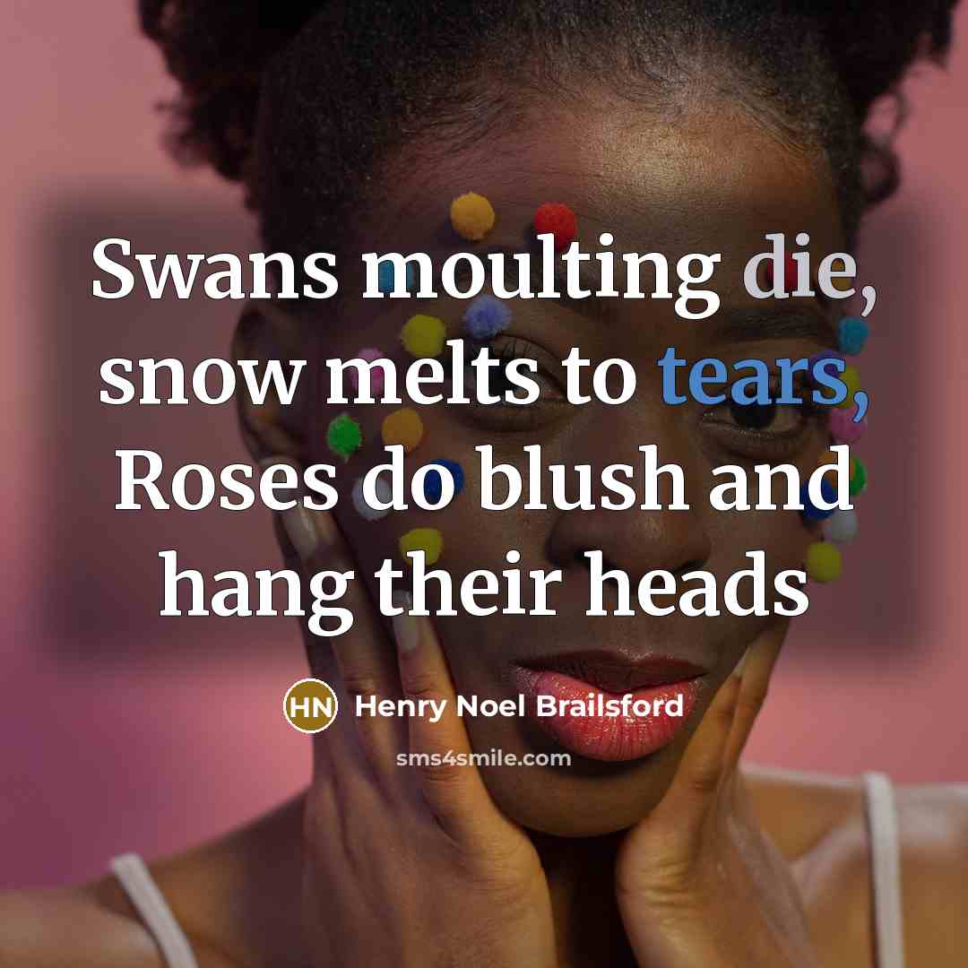 “Swans moulting die, snow melts to tears, Roses do blush…” quote by Henry Noel Brailsford