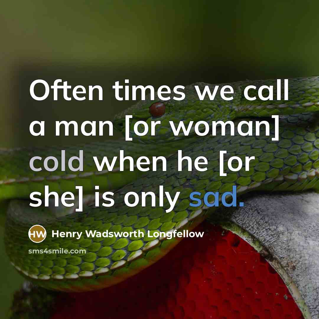 “Often times we call a man [or woman] cold when…” quote by Henry Wadsworth Longfellow