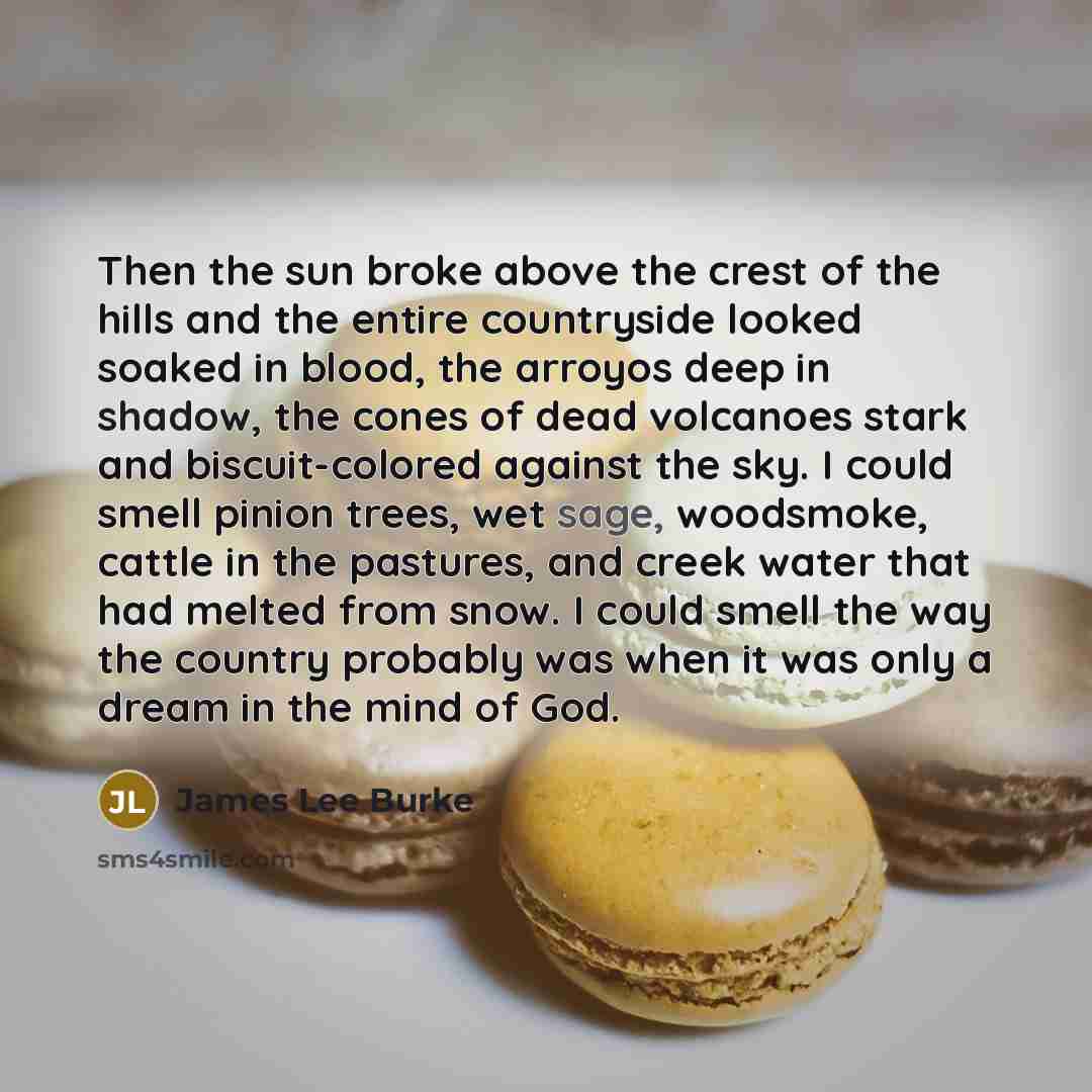 “Then the sun broke above the crest of the hills…” quote by James Lee Burke