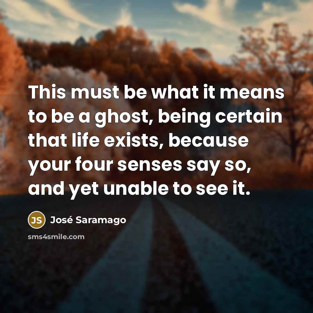 “This must be what it means to be a ghost,…” quote by Jose Saramago