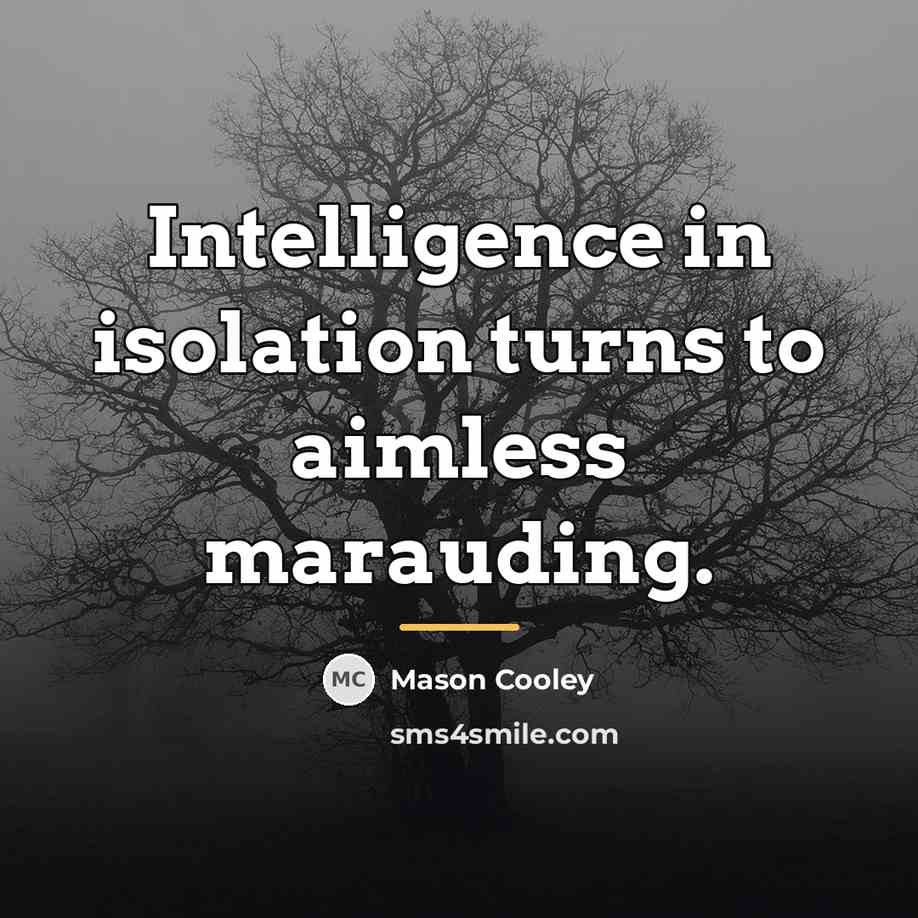 “Intelligence in isolation turns to aimless marauding.…” quote by Mason Cooley