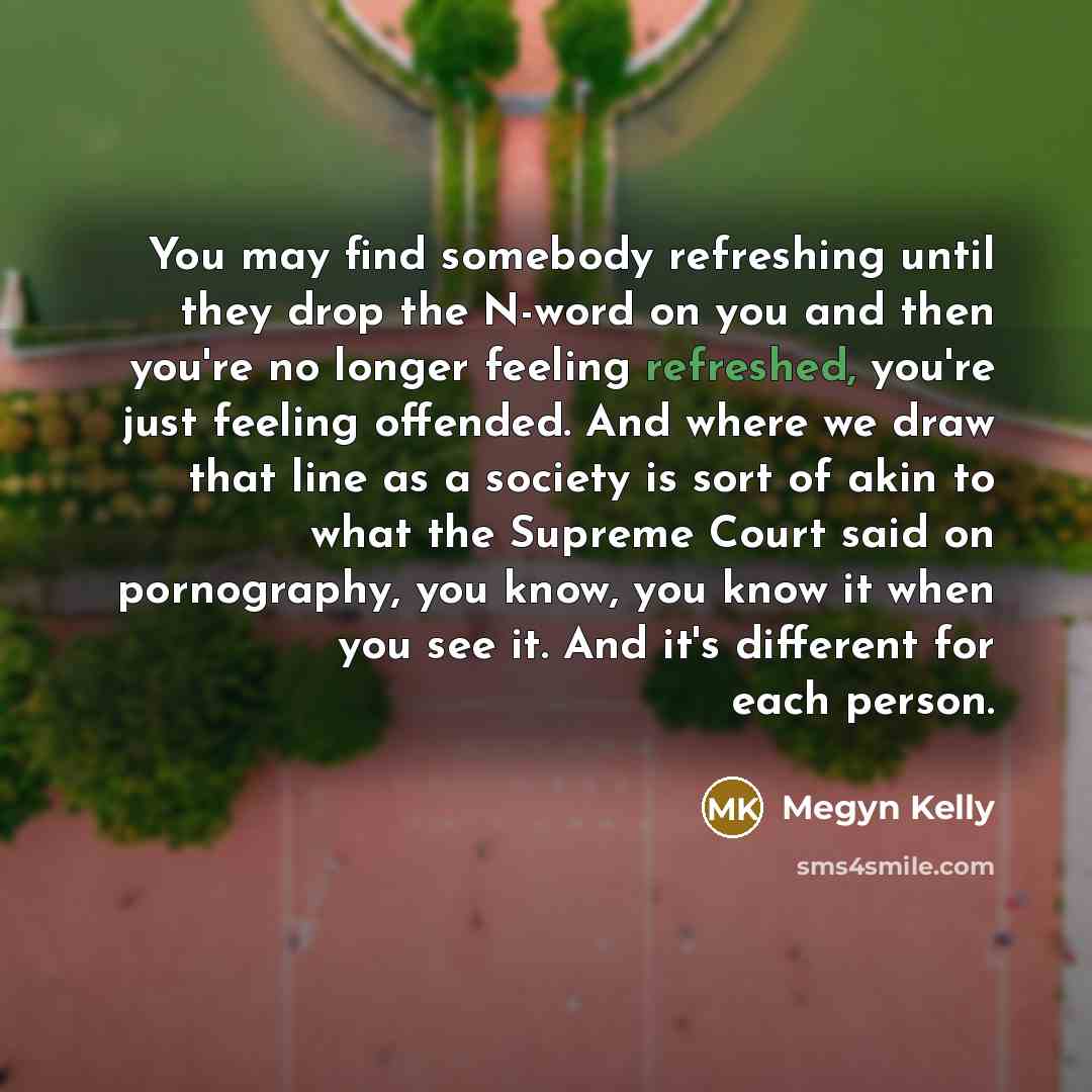 “You may find somebody refreshing until they drop the N-word…” quote by Megyn Kelly