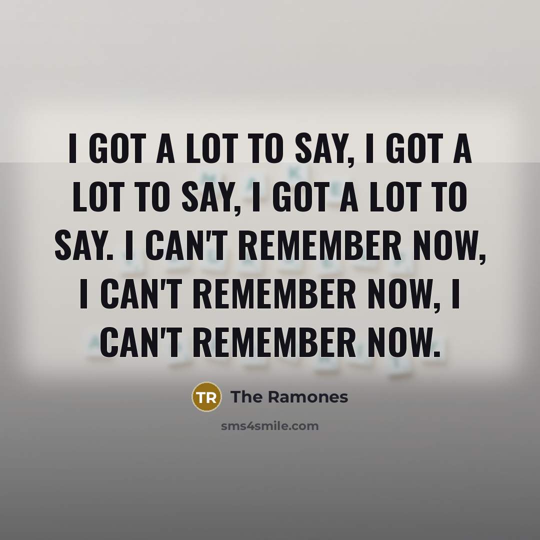 “I got a lot to say, I got a lot…” quote by The Ramones