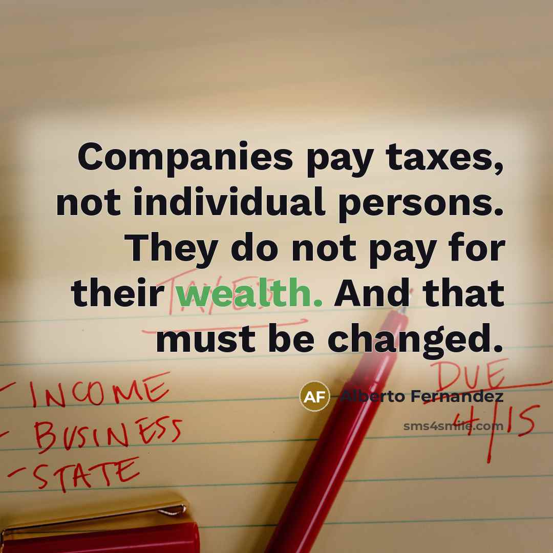 “Companies pay taxes, not individual persons. They do not pay…” quote by Alberto Fernandez