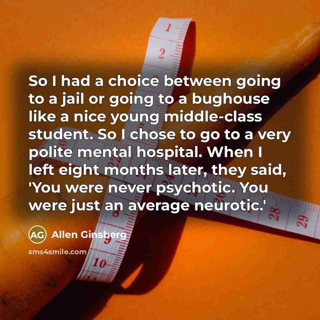 “So I had a choice between going to a jail…” quote by Allen Ginsberg