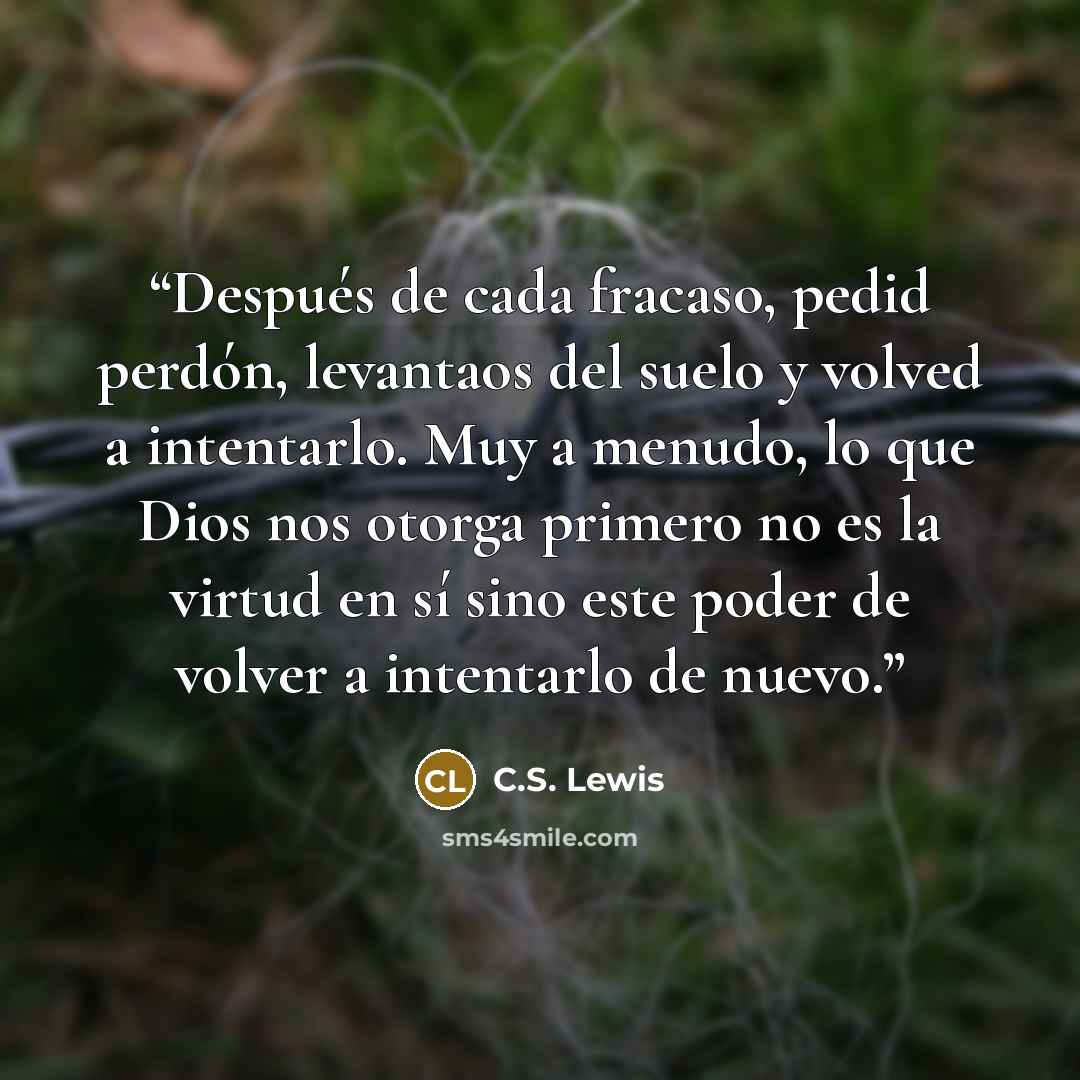“Después de cada fracaso, pedid perdón, levantaos del suelo y volved a intentarlo. Muy a menudo, lo que Dios nos otorga primero no es la virtud en sí sino este poder de volver a intentarlo de nuevo.” quote by C.S. Lewis