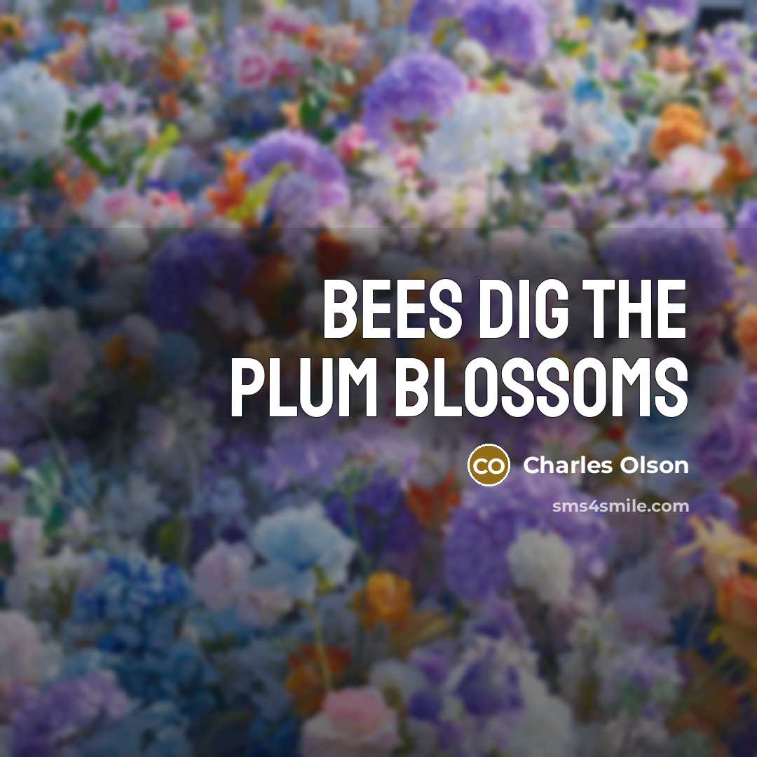 “bees dig the plum blossoms…” quote by Charles Olson
