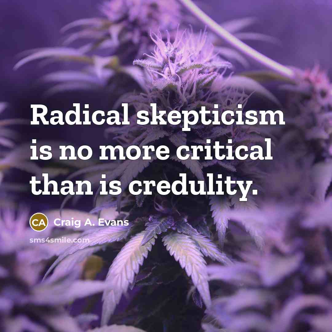 “Radical skepticism is no more critical than is credulity.…” quote by Craig A. Evans