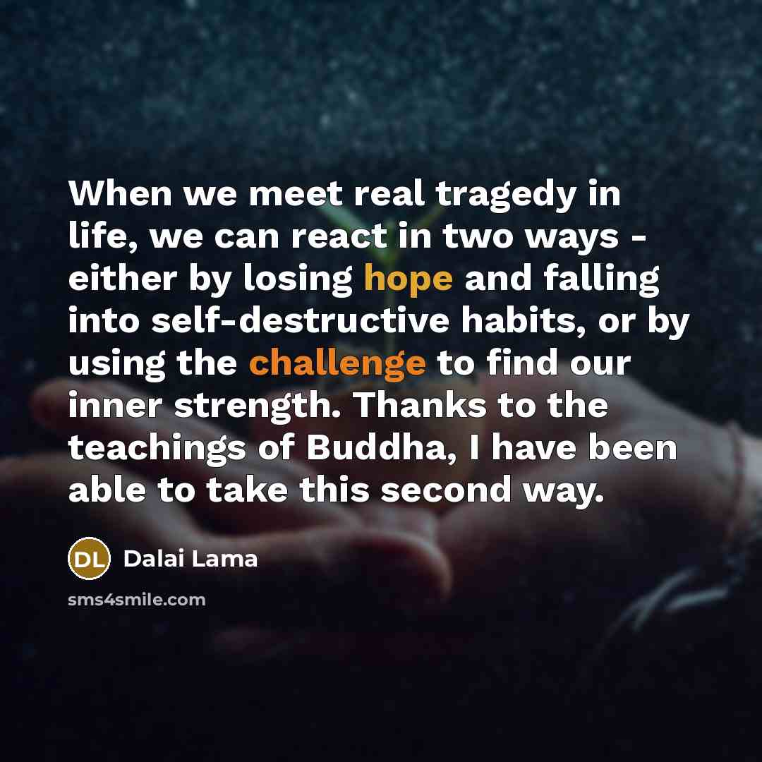 “When we meet real tragedy in life, we can react…” quote by Dalai Lama