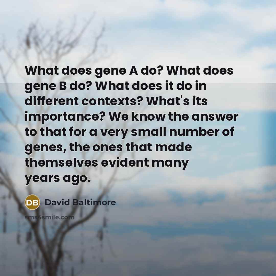 “What does gene A do? What does gene B do?…” quote by David Baltimore