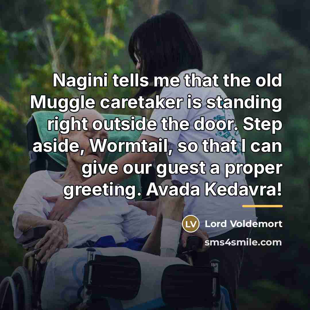 “Nagini tells me that the old Muggle caretaker is standing…” quote by Lord Voldemort