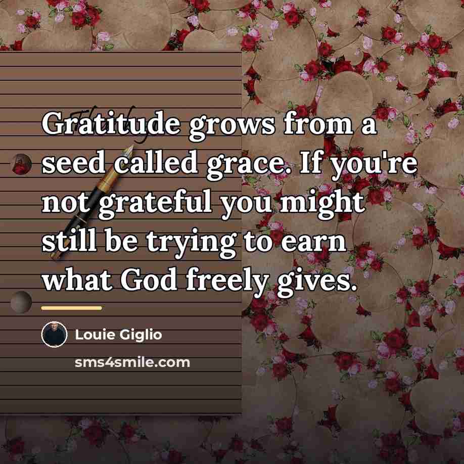 “Gratitude grows from a seed called grace. If you're not…” quote by Louie Giglio