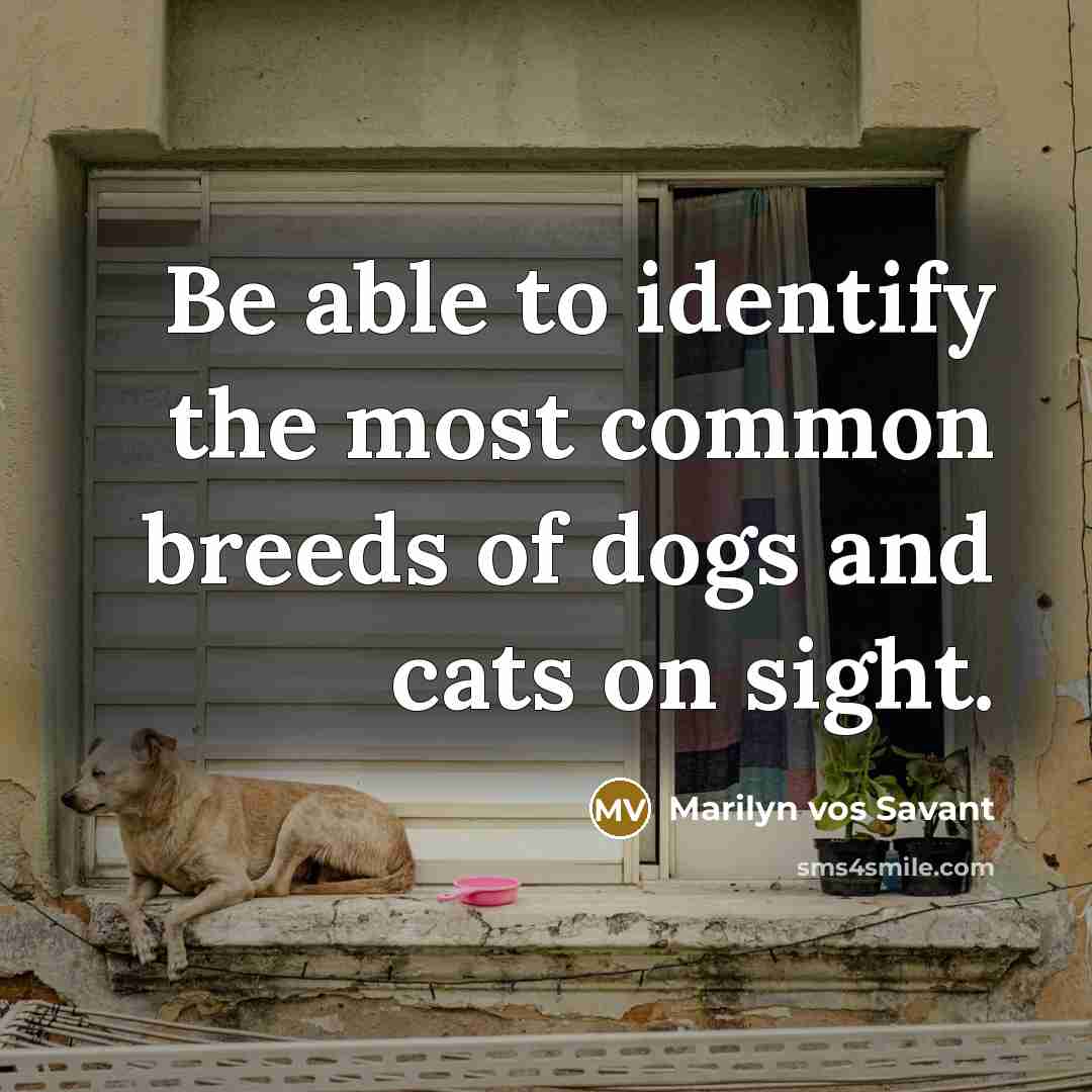 “Be able to identify the most common breeds of dogs…” quote by Marilyn vos Savant