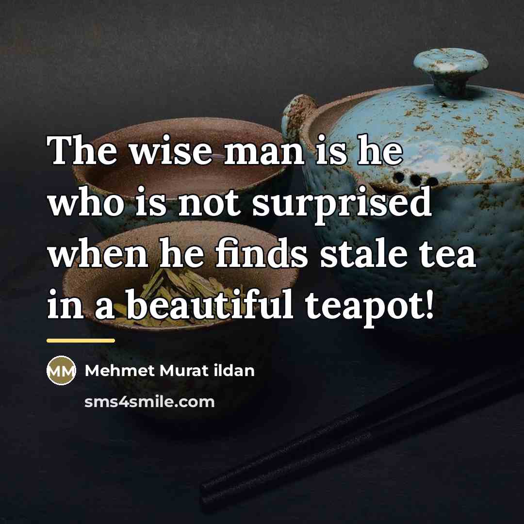 “The wise man is he who is not surprised when…” quote by Mehmet Murat Ildan