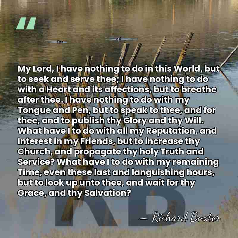My Lord, I have nothing to do in this World, but to&hellip; - Richard Baxter