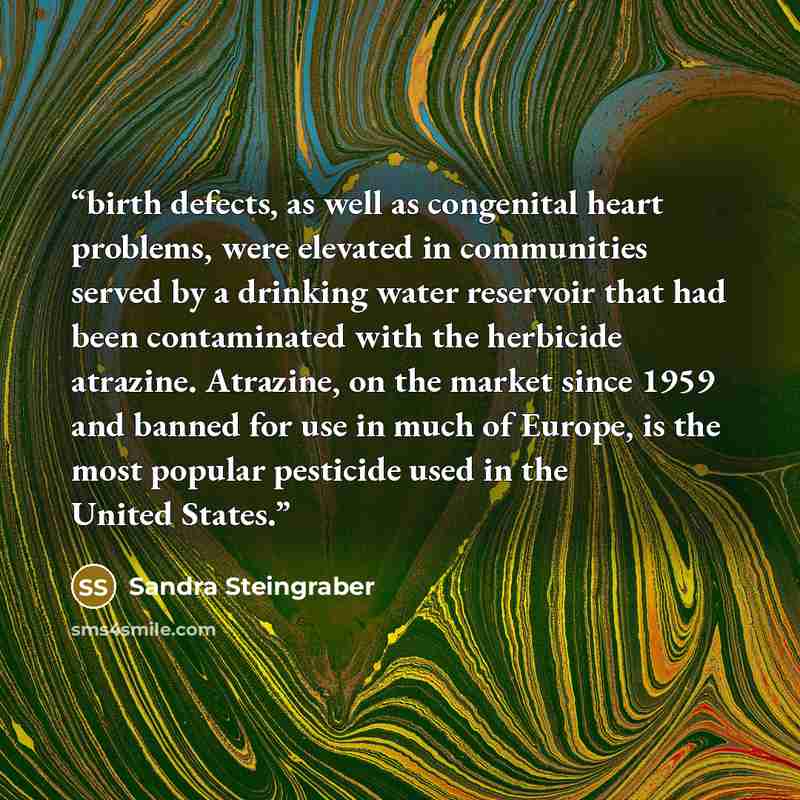 “birth defects, as well as congenital heart problems, were elevated in communities served by a drinking water reservoir that had been contaminated with the herbicide atrazine. Atrazine, on the market since 1959 and banned for use in much of Europe, is the most popular pesticide used in the United…” quote by Sandra Steingraber