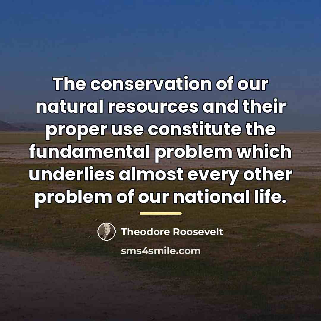 “The conservation of our natural resources and their proper use…” quote by Theodore Roosevelt