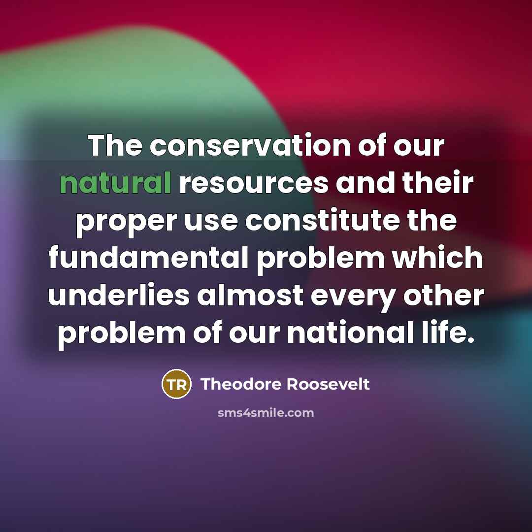 “The conservation of our natural resources and their proper use constitute the fundamental problem which underlies almost every other problem of our national life.” quote by Theodore Roosevelt
