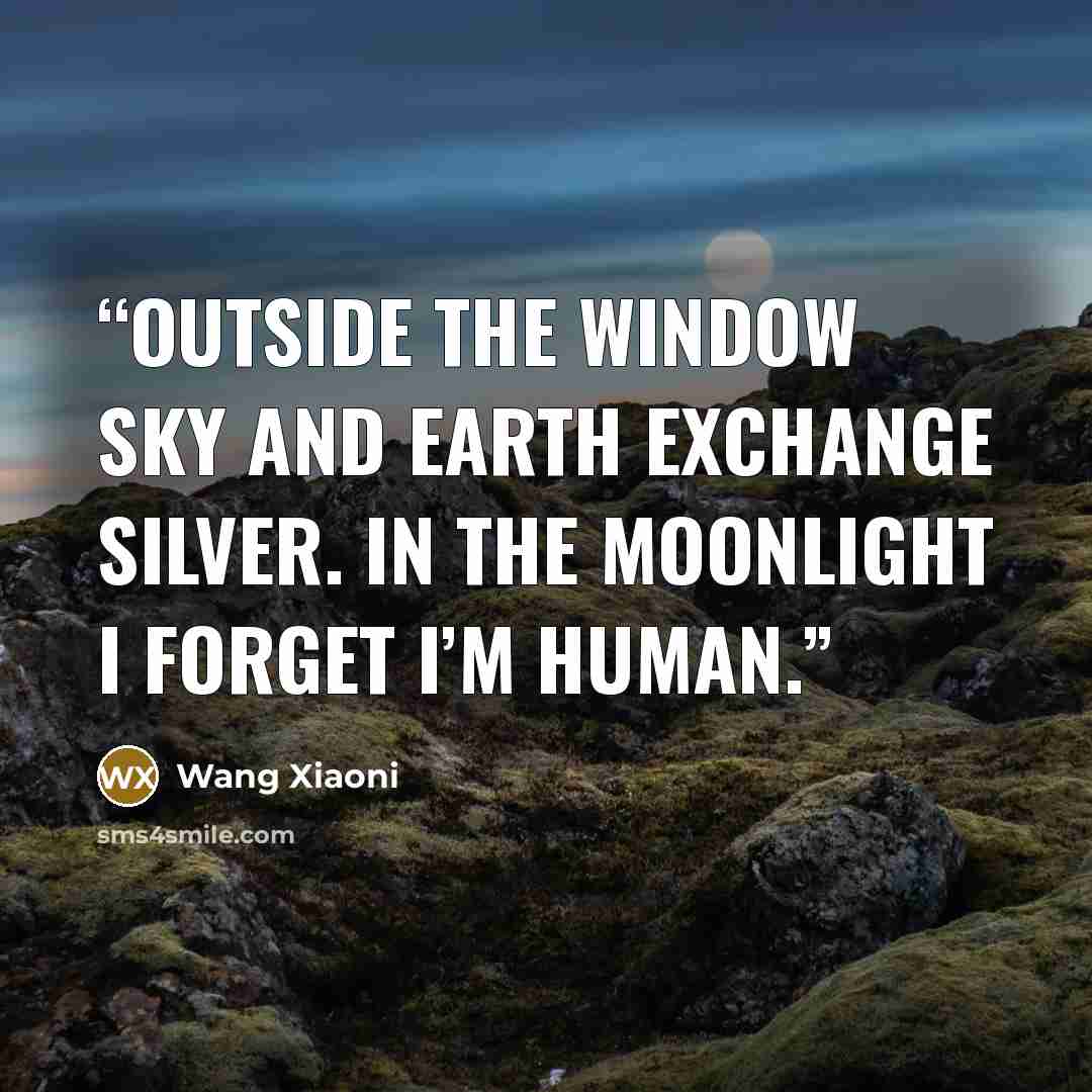 “Outside the window Sky and earth exchange silver. In the moonlight I forget I’m human.” quote by Wang Xiaoni