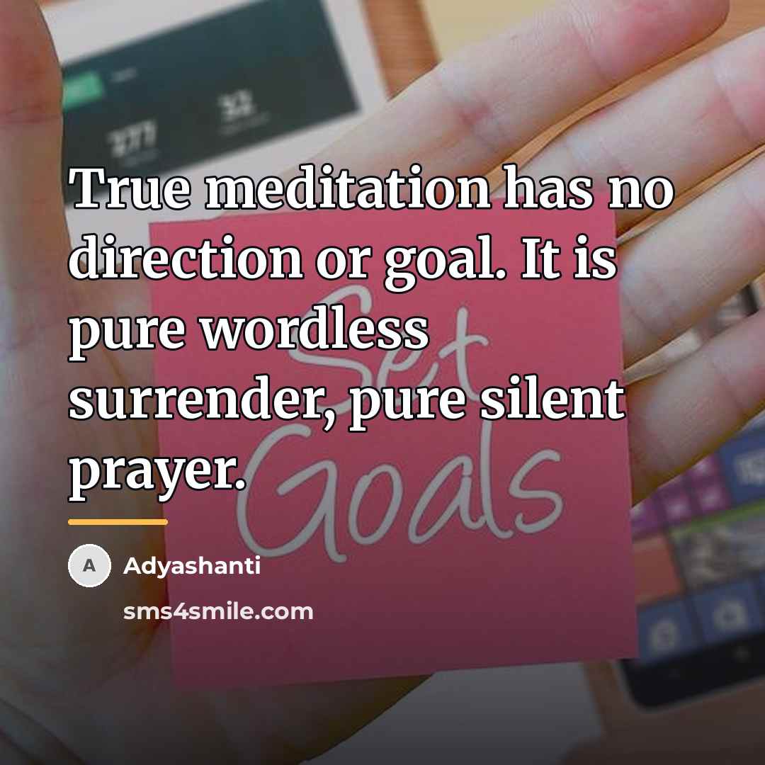 “True meditation has no direction or goal. It is pure…” quote by Adyashanti