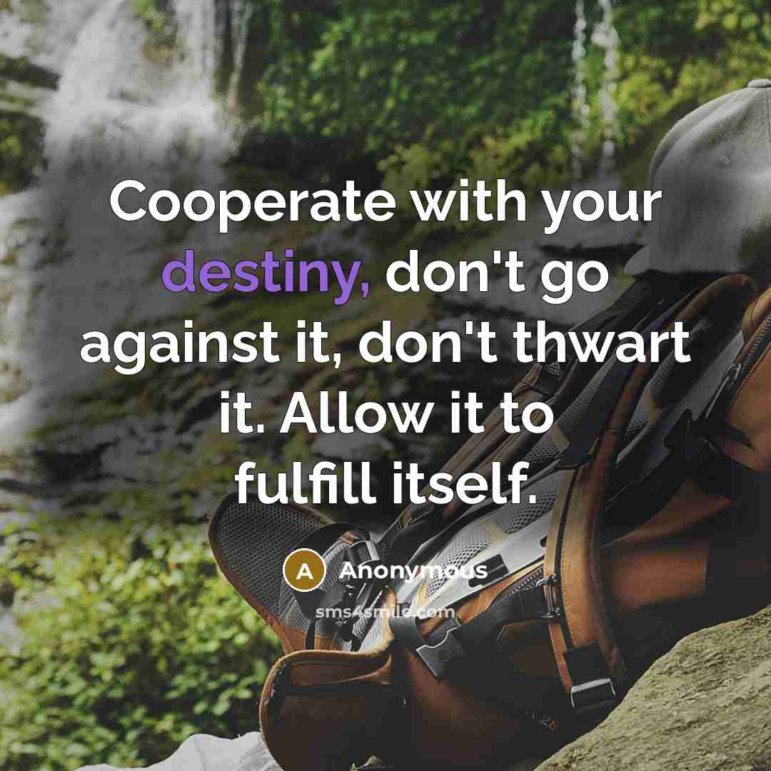 “Cooperate with your destiny, don't go against it, don't thwart…” quote by Anonymous