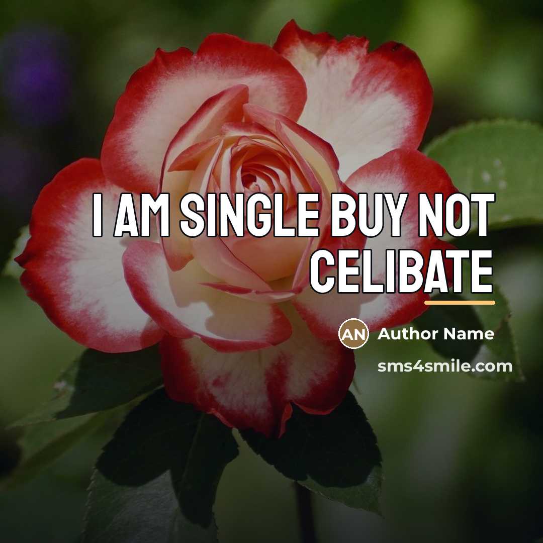 “I am single buy not celibate…” quote by Author Name