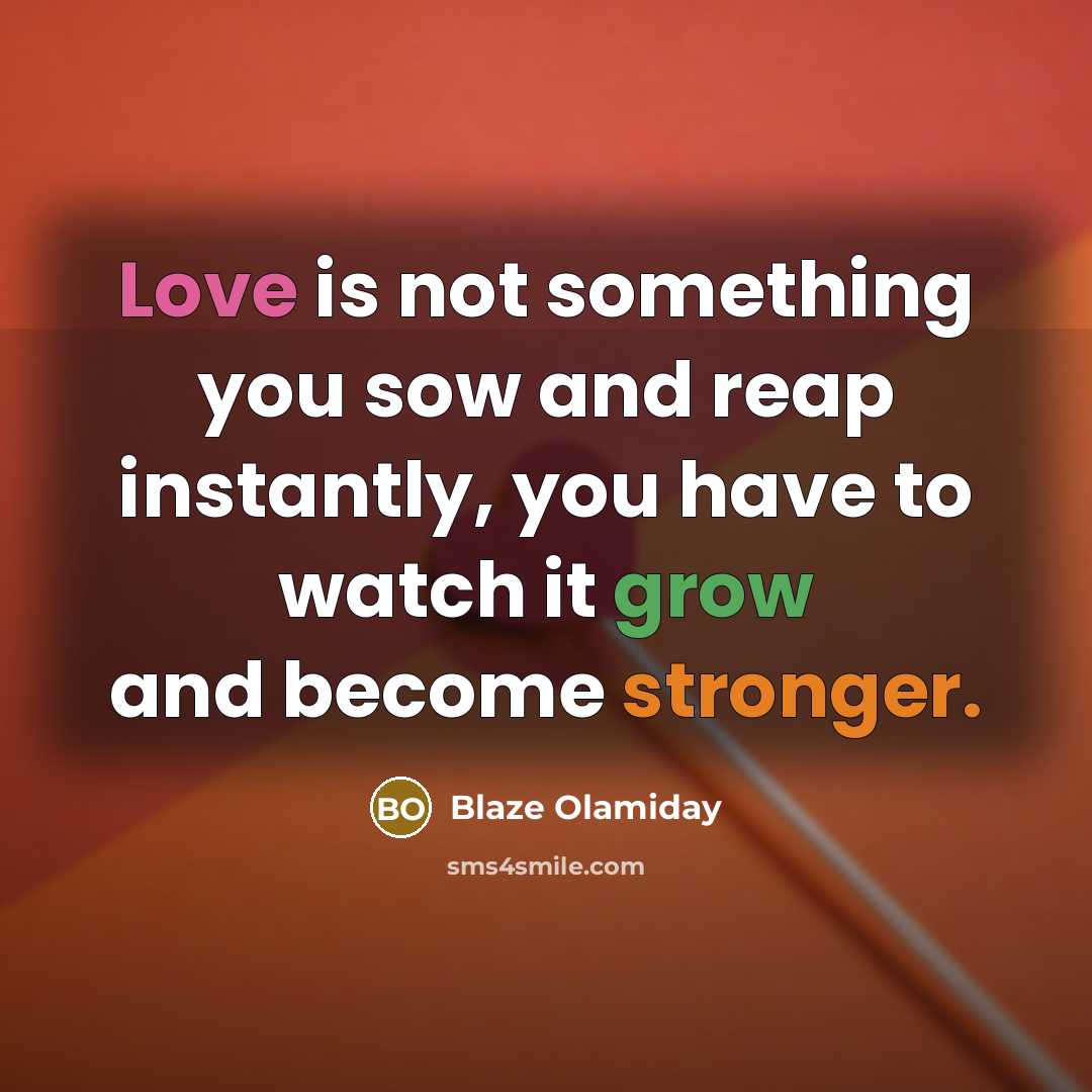 “Love is not something you sow and reap instantly, you…” quote by Blaze Olamiday