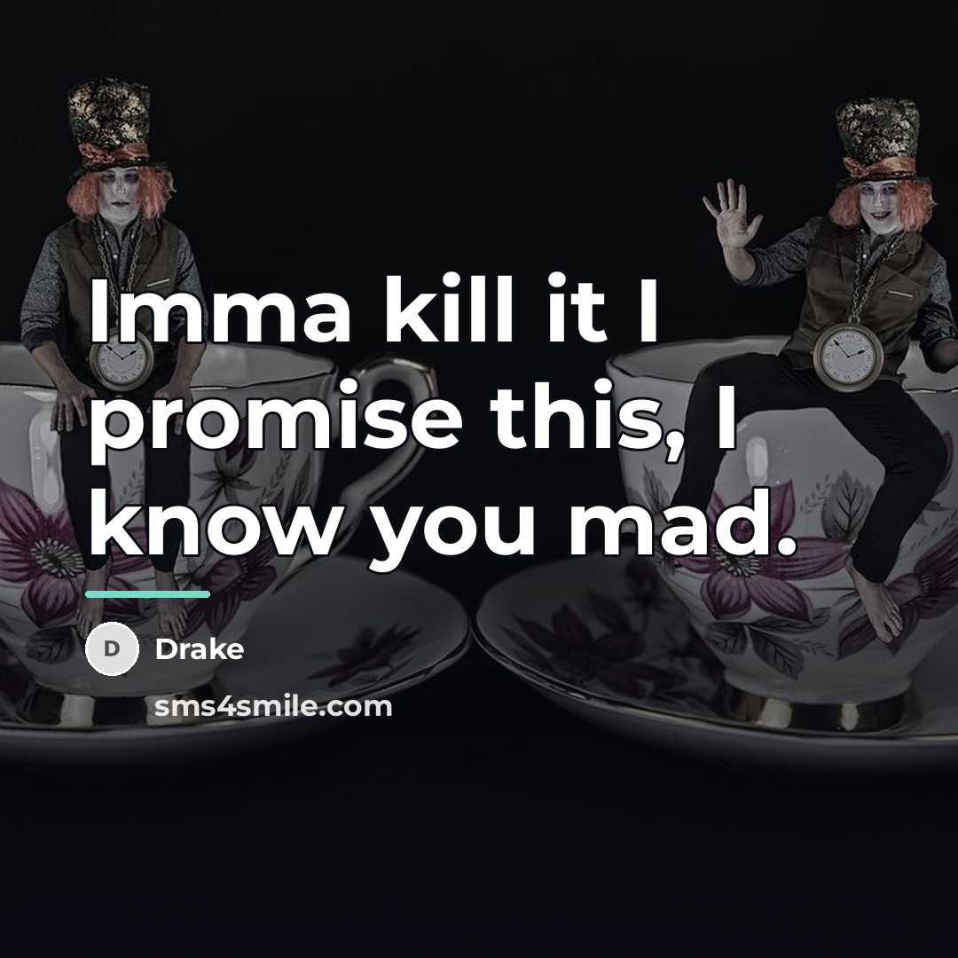 “Imma kill it I promise this, I know you mad.…” quote by Drake