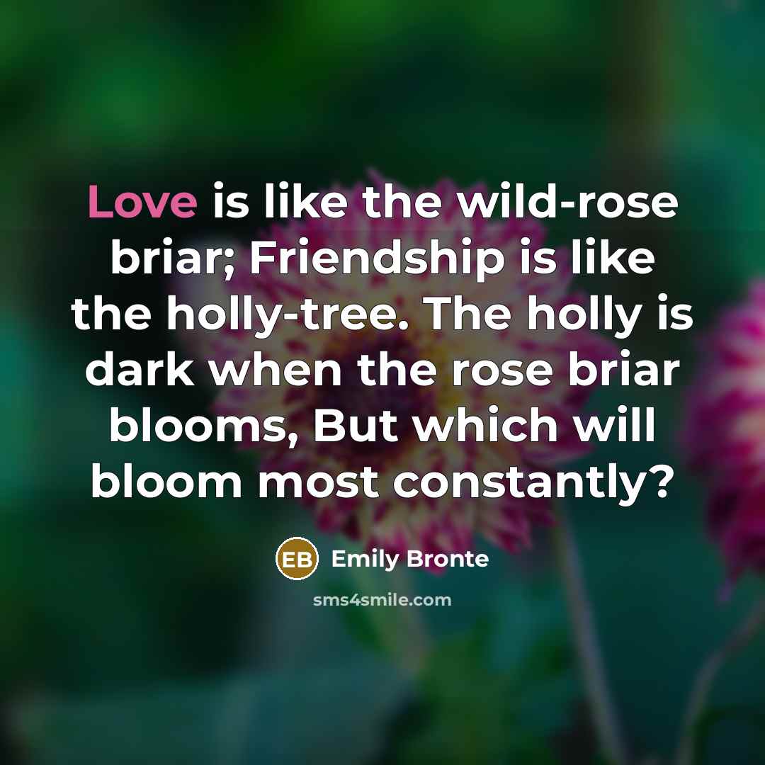 “Love is like the wild-rose briar; Friendship is like the…” quote by Emily Bronte