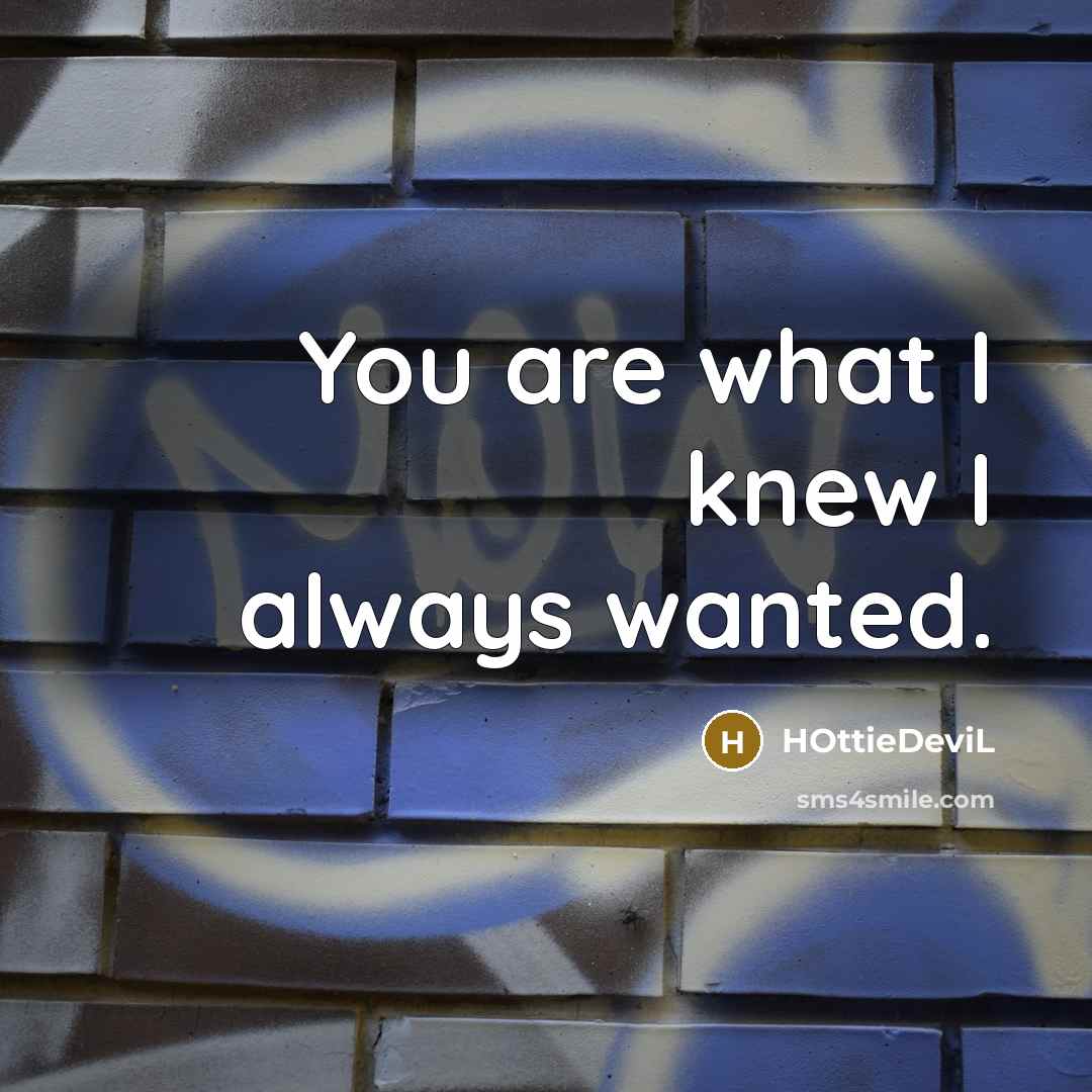 “You are what I knew I always wanted.…” quote by HOttieDeviL