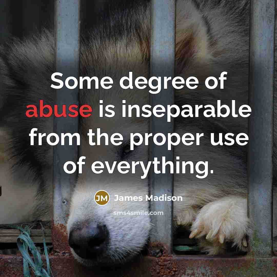 “Some degree of abuse is inseparable from the proper use…” quote by James Madison