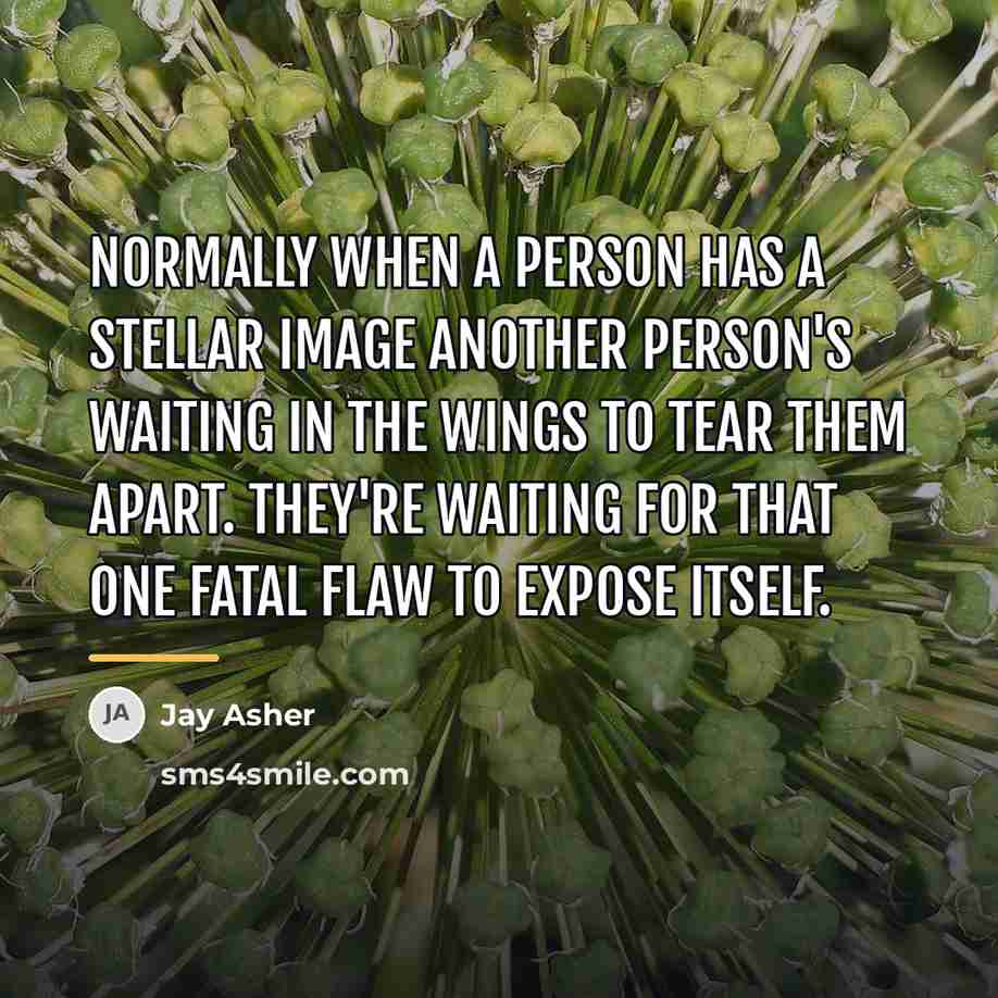 “Normally when a person has a stellar image another person's…” quote by Jay Asher