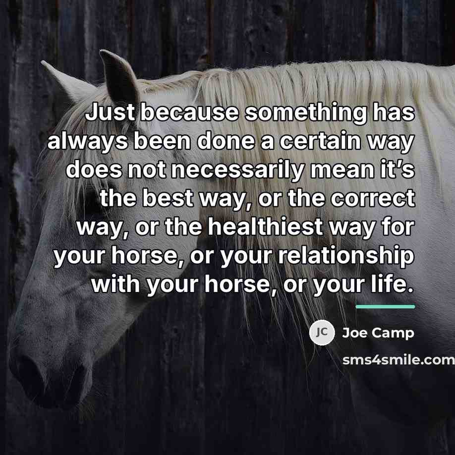 “Just because something has always been done a certain way…” quote by Joe Camp