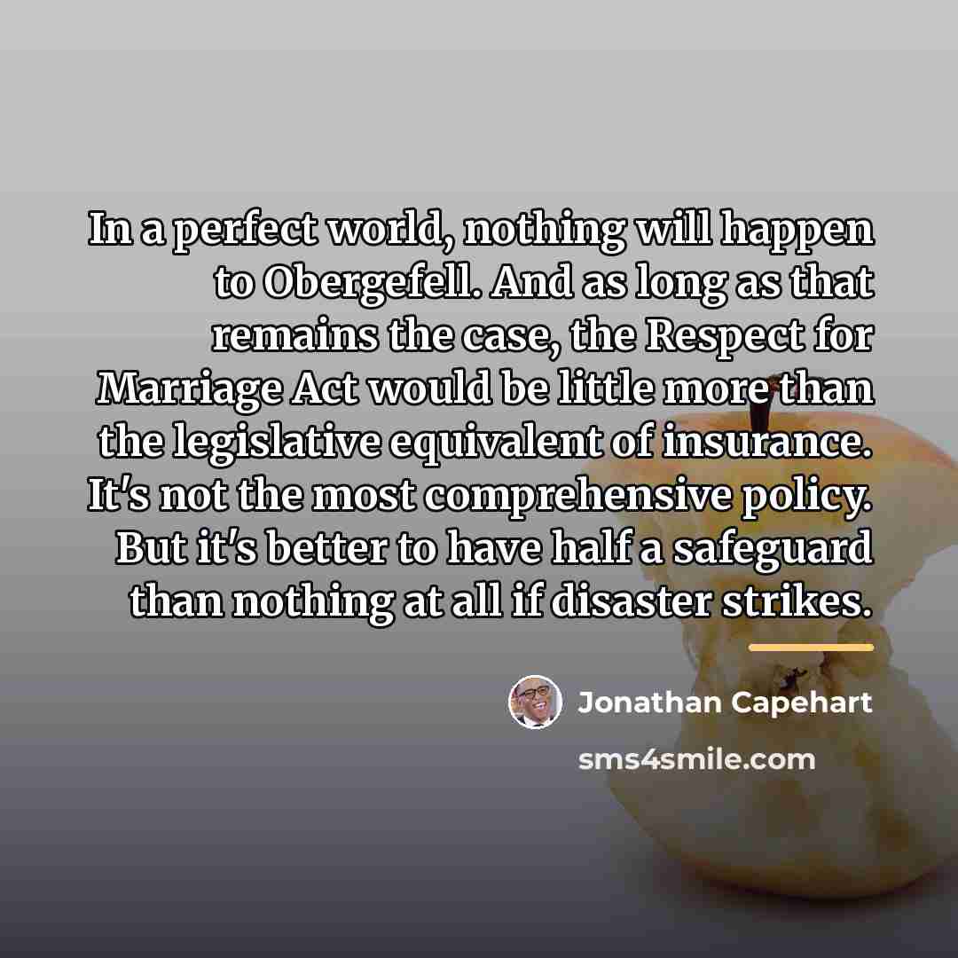 “In a perfect world, nothing will happen to Obergefell. And…” quote by Jonathan Capehart