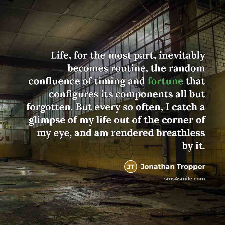 “Life, for the most part, inevitably becomes routine, the random…” quote by Jonathan Tropper