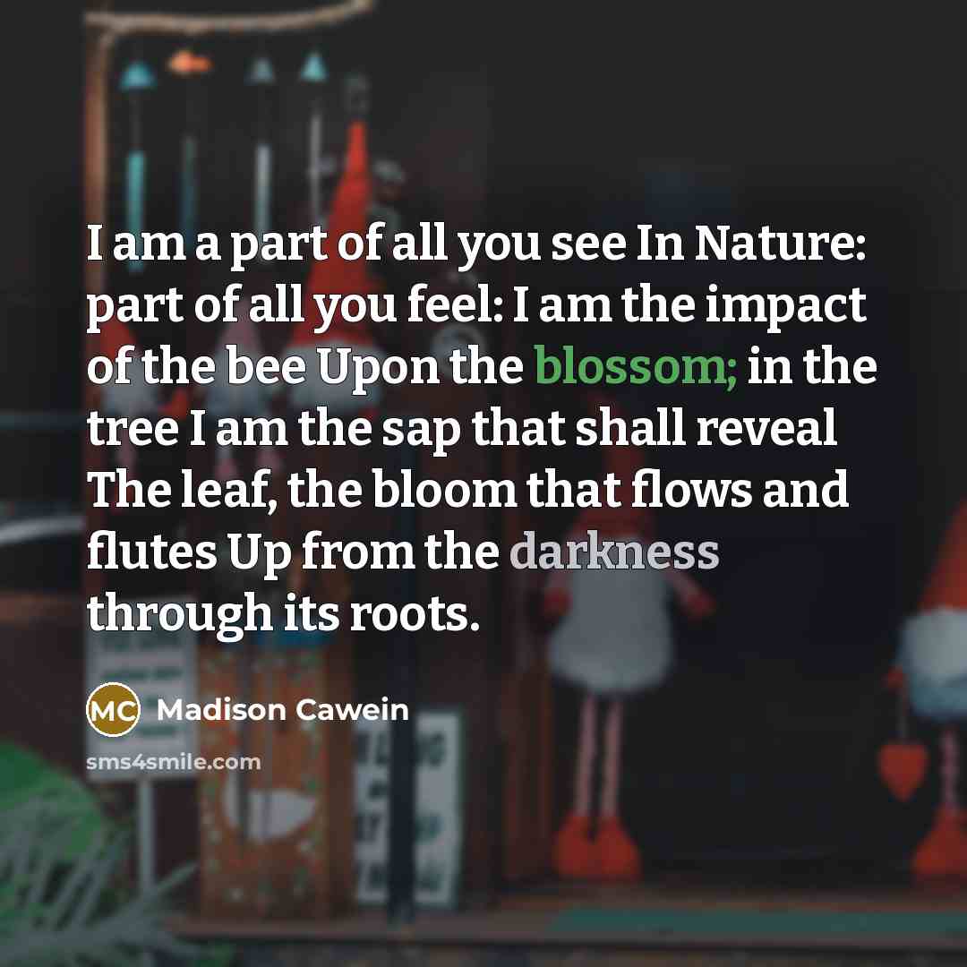 “I am a part of all you see In Nature:…” quote by Madison Cawein