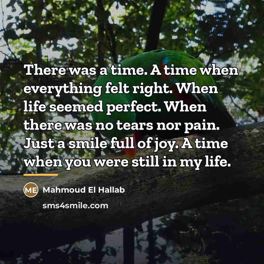 “There was a time. A time when everything felt right.…” quote by Mahmoud El Hallab