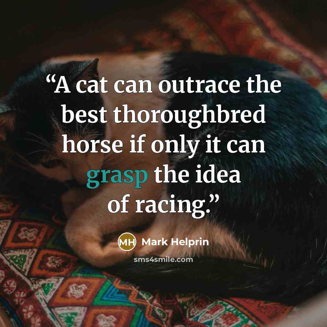 “A cat can outrace the best thoroughbred horse if only it can grasp the idea of racing.” quote by Mark Helprin
