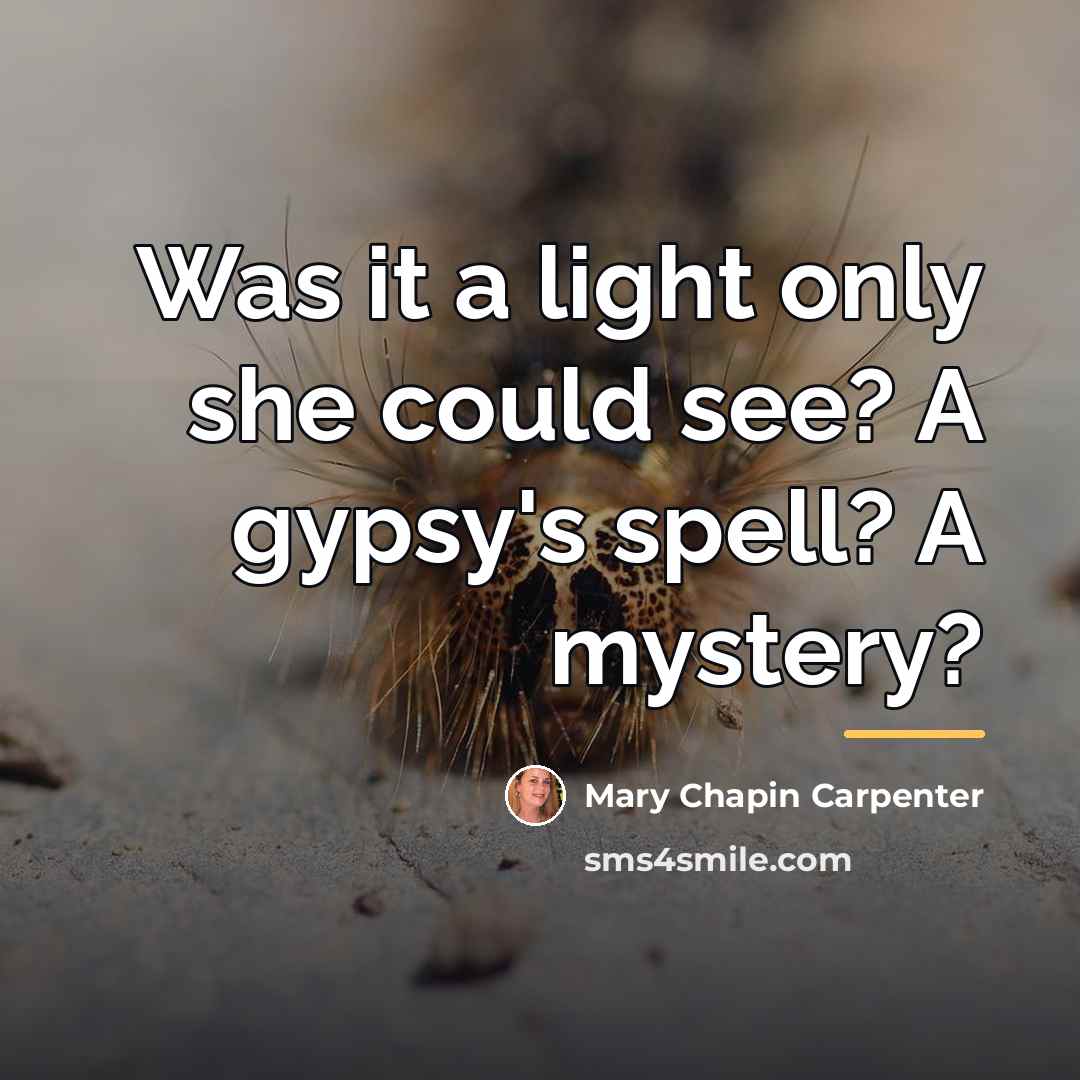 “Was it a light only she could see? A gypsy's…” quote by Mary Chapin Carpenter
