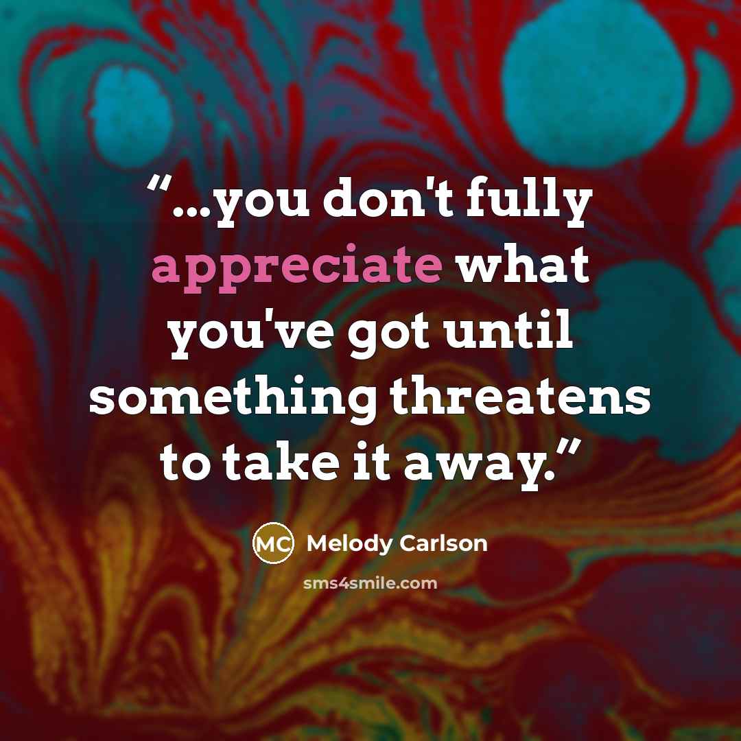 “...you don't fully appreciate what you've got until something threatens to take it away.” quote by Melody Carlson
