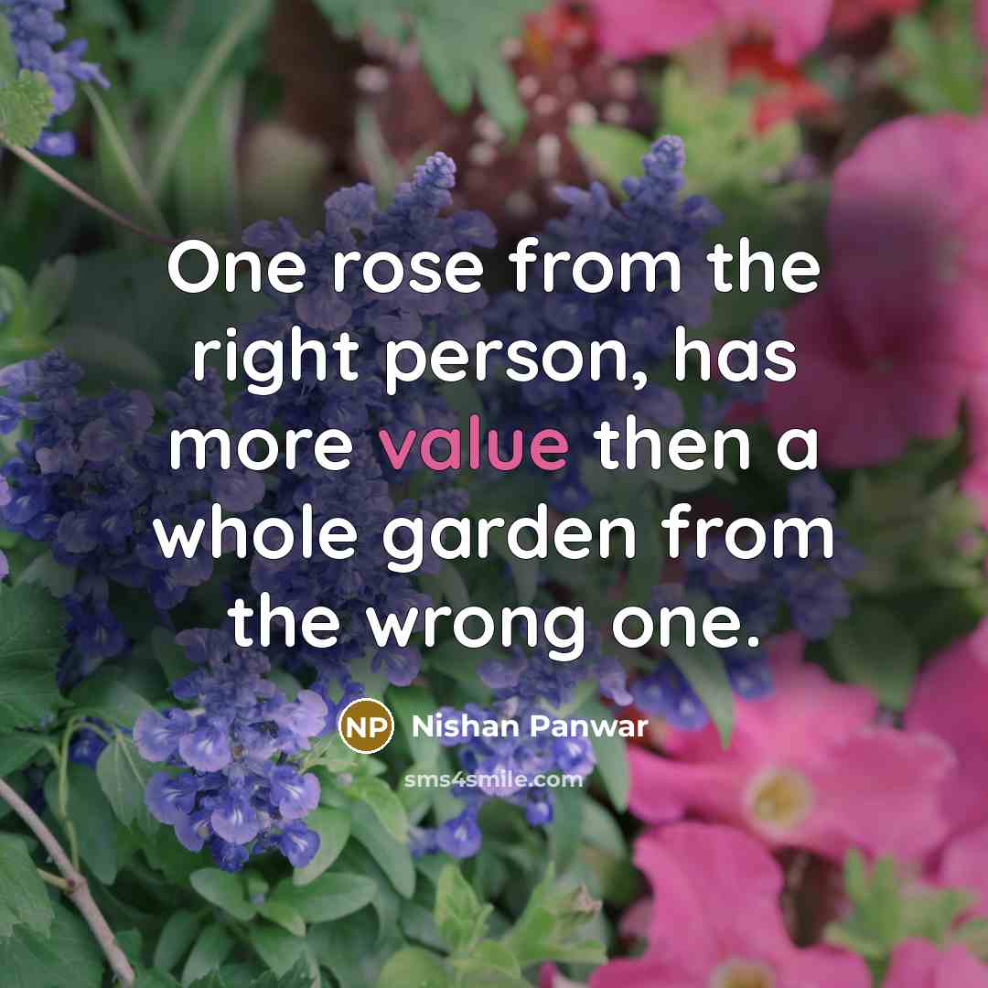 “One rose from the right person, has more value then…” quote by Nishan Panwar