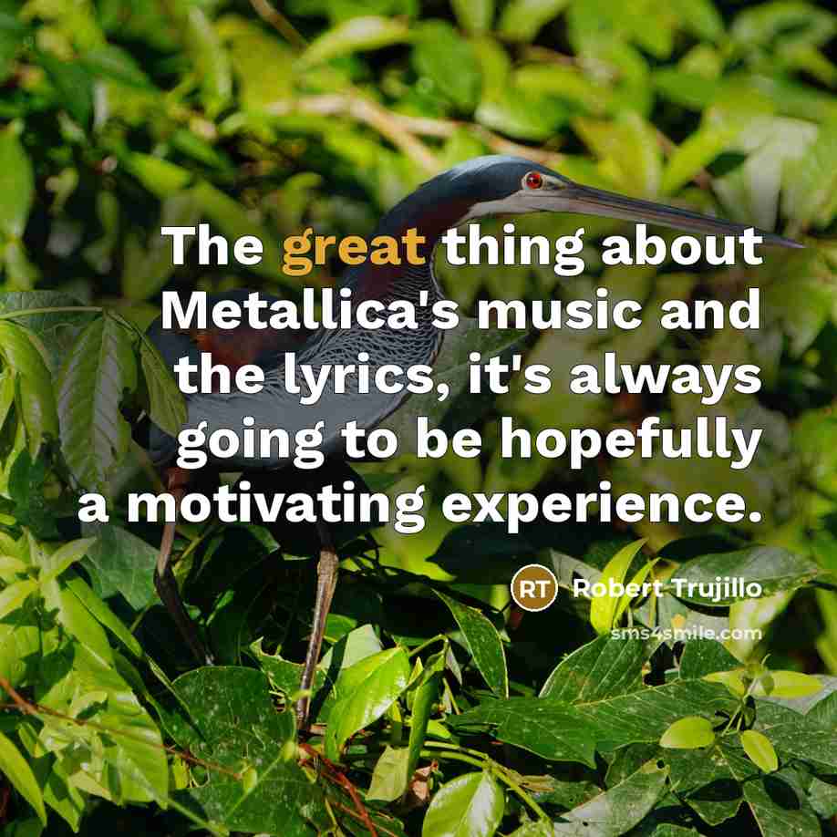“The great thing about Metallica's music and the lyrics, it's…” quote by Robert Trujillo