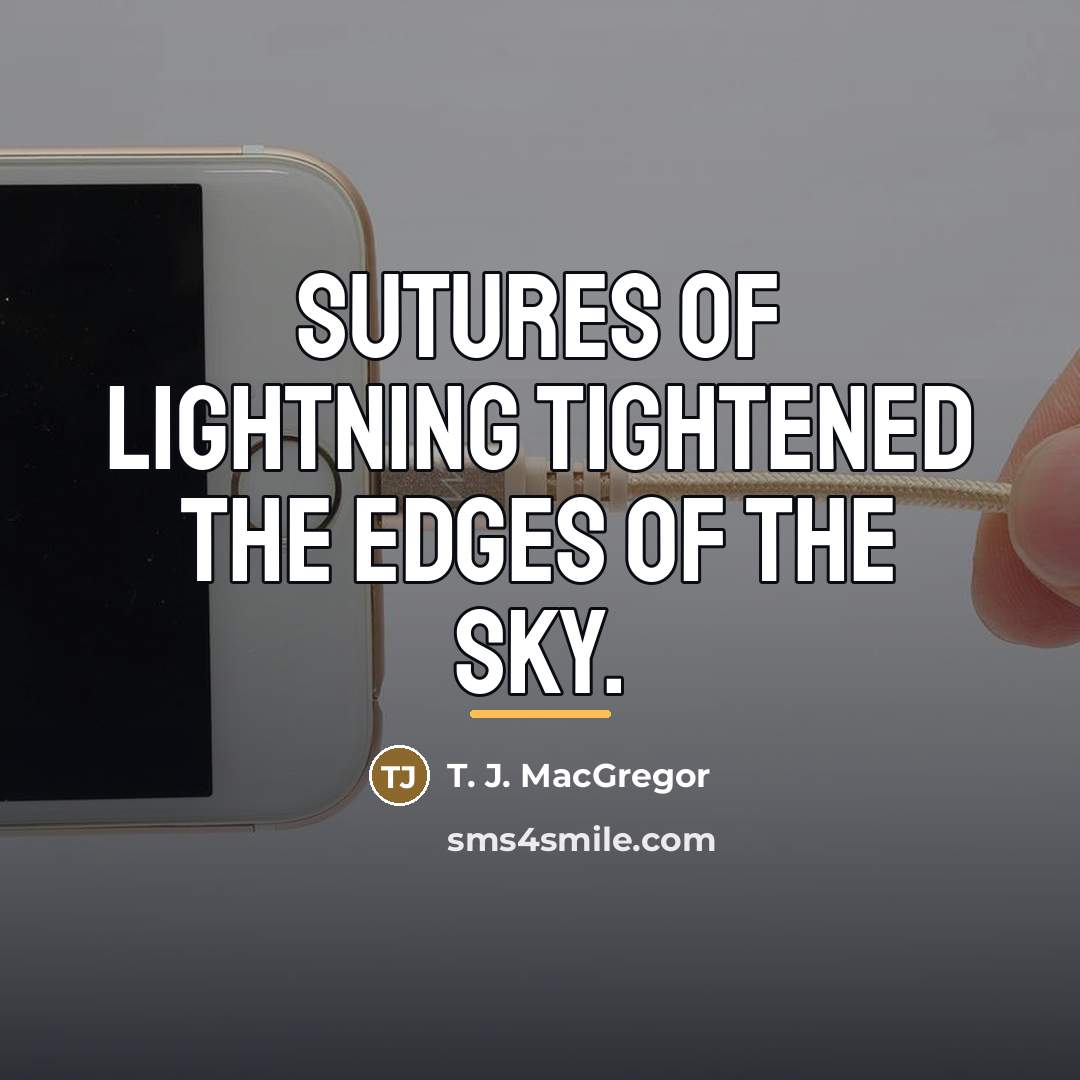 “Sutures of lightning tightened the edges of the sky.…” quote by T. J. MacGregor