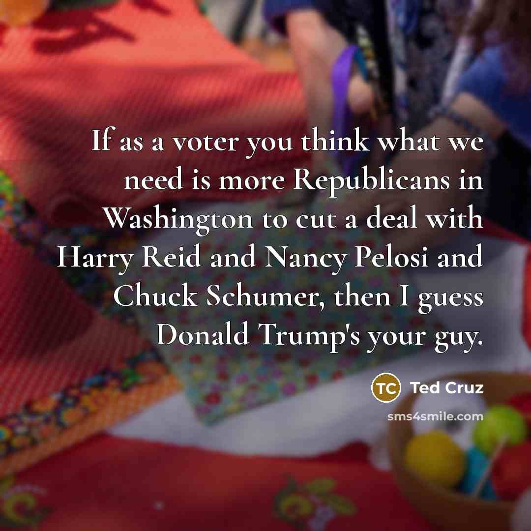 “If as a voter you think what we need is…” quote by Ted Cruz