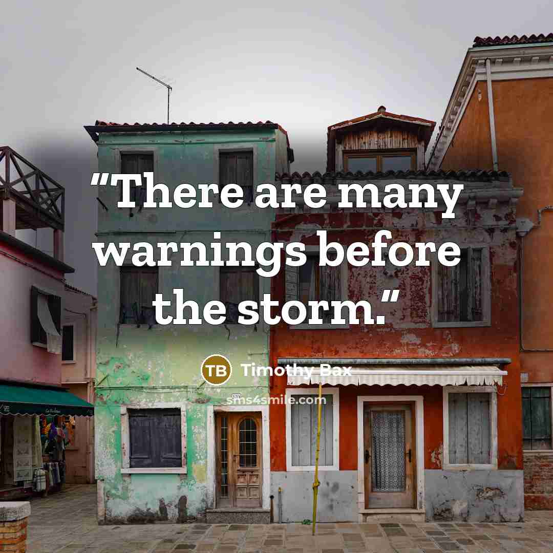 “There are many warnings before the storm.” quote by Timothy Bax
