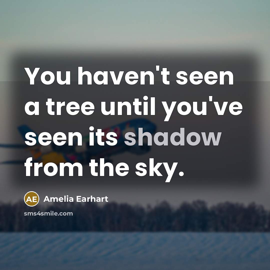 “You haven't seen a tree until you've seen its shadow…” quote by Amelia Earhart