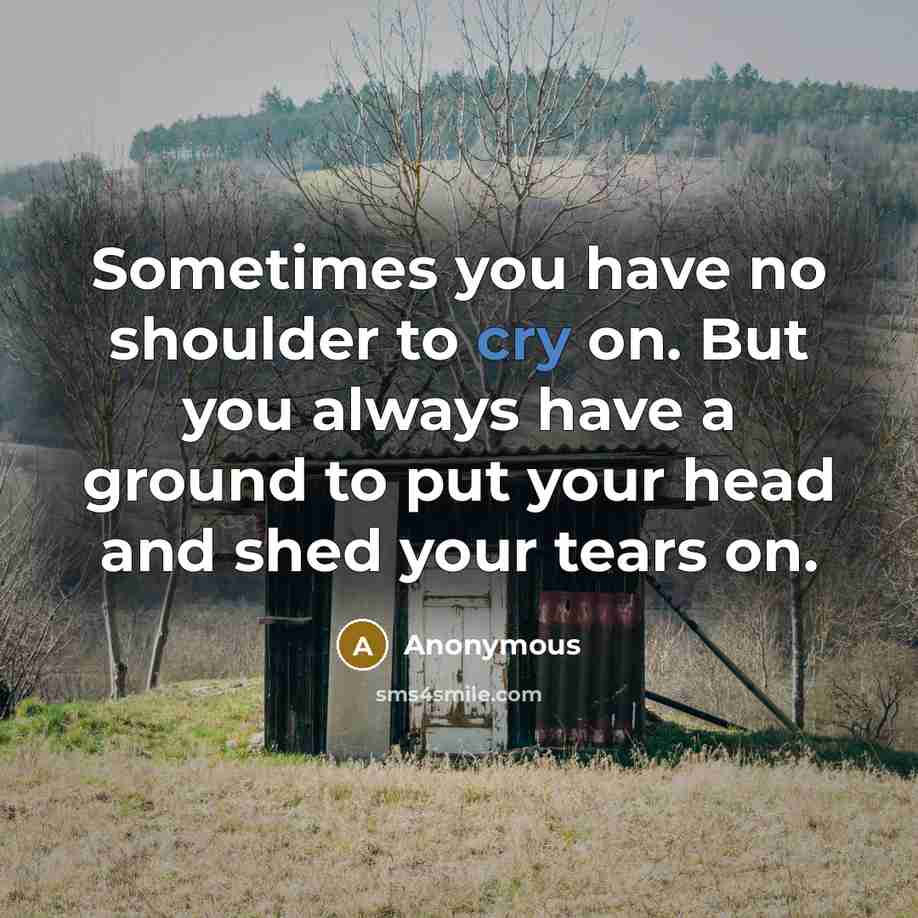 “Sometimes you have no shoulder to cry on. But you…” quote by Anonymous
