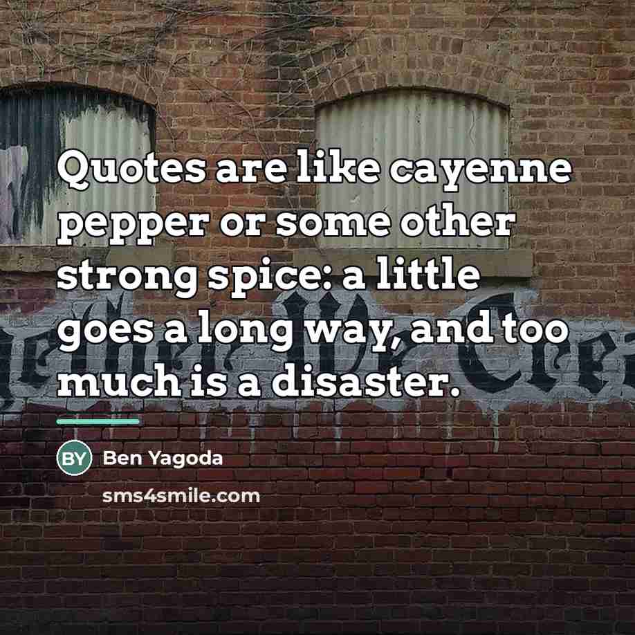 “Quotes are like cayenne pepper or some other strong spice:…” quote by Ben Yagoda