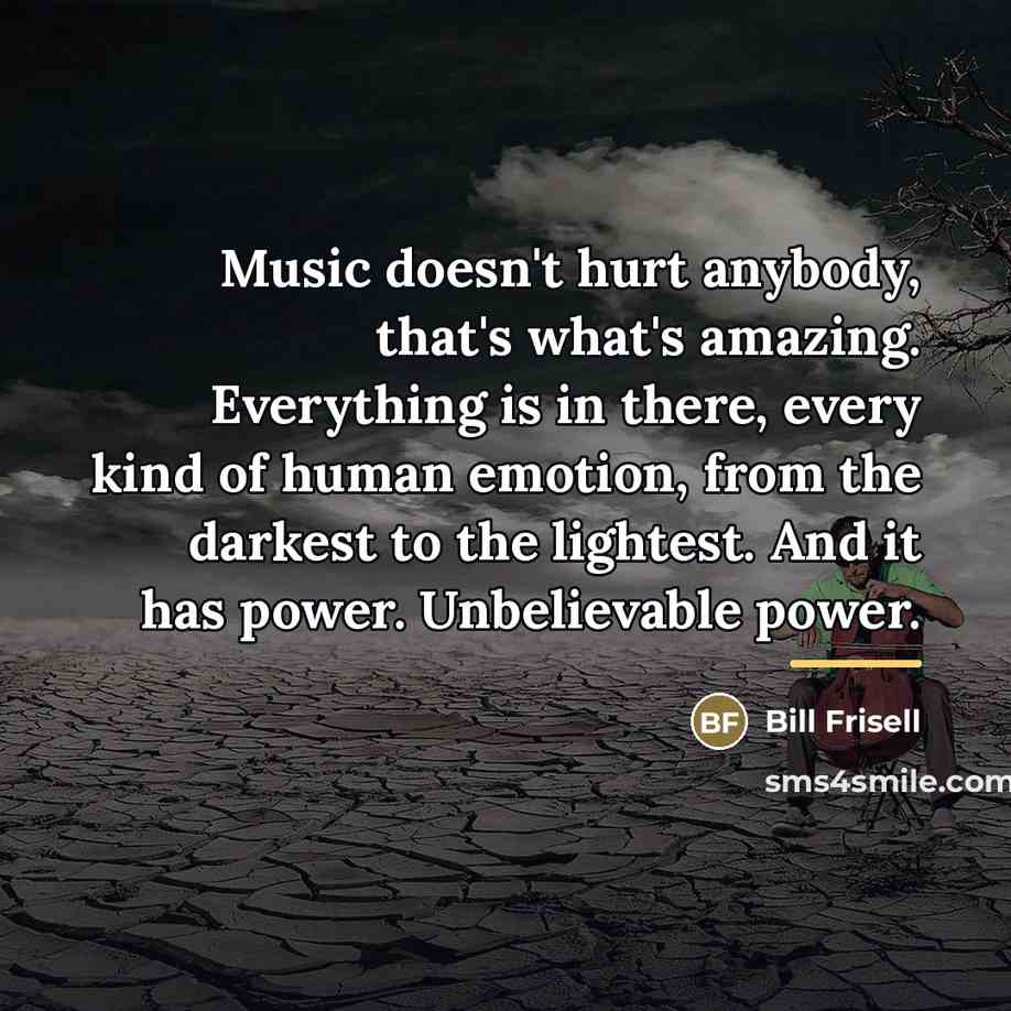 “Music doesn't hurt anybody, that's what's amazing. Everything is in…” quote by Bill Frisell