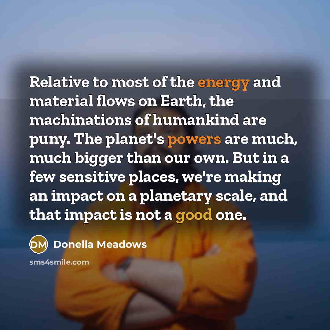 “Relative to most of the energy and material flows on…” quote by Donella Meadows